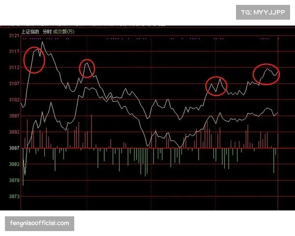 本土球员战术权重持续上升 教练组开始围绕本土核心设计局部配合